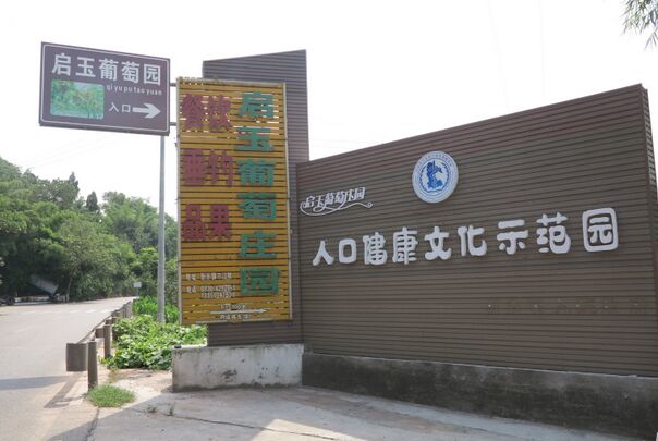 泸州市首个人口健康文化示范园亮相启玉葡萄庄园
